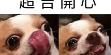 歐博註冊,歐博娛樂城,歐博百家樂,歐博真人,真人娛樂城